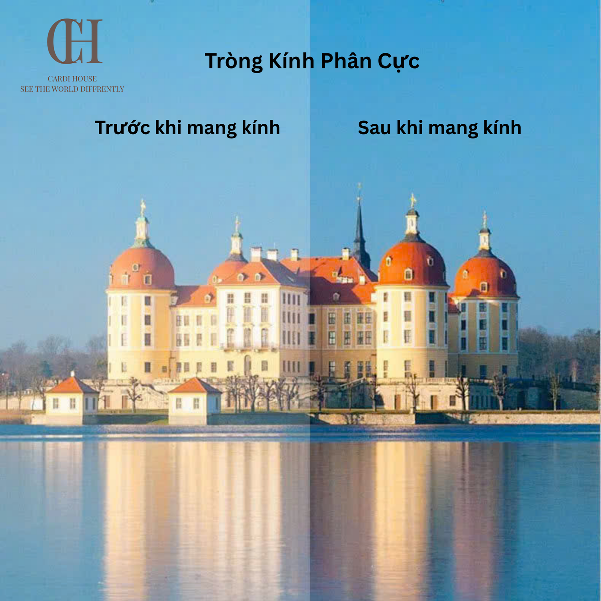 KÍNH MẮT NỮ THỜI TRANG CARDI BELLA CAT
